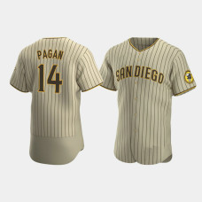 Emilio Pagan San Diego Padres Sand Brown Authentic Alternate Jersey Emilio Pagan San Diego Padres Sand Brown Authentic Alternate Jersey